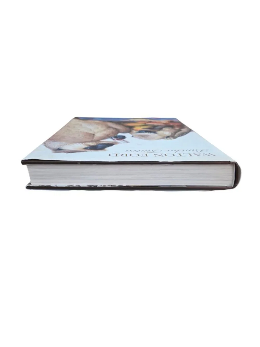Walton Ford Pancha Tantra by Bill Buford 2009 Hardcover Art Monograph Book